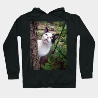 Tom cat Hoodie